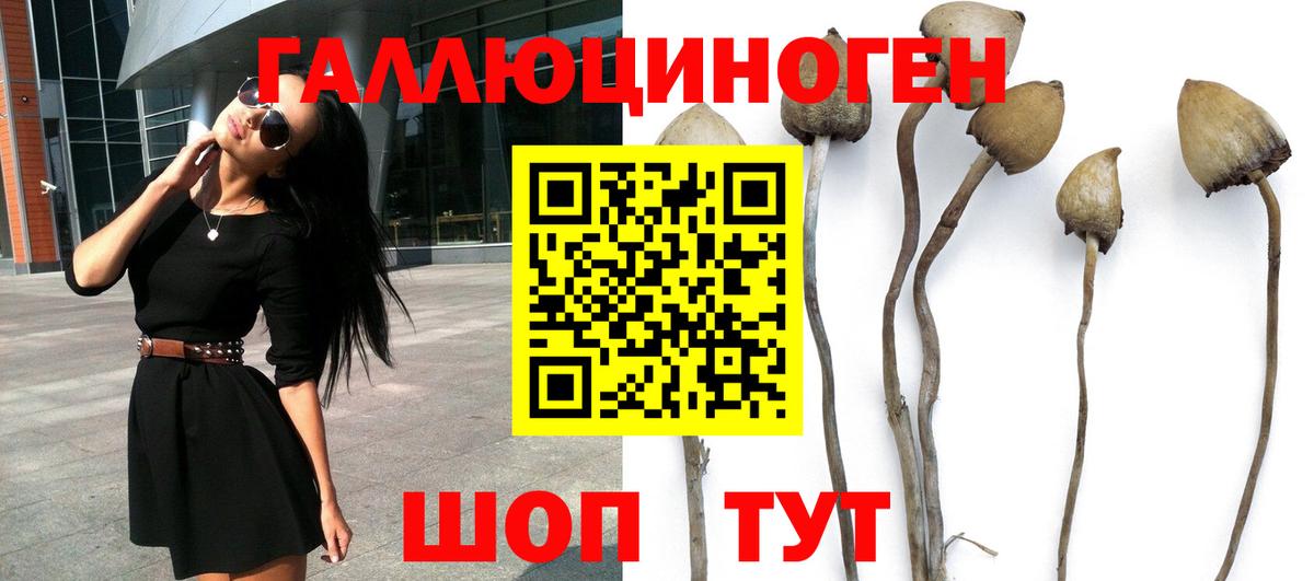 Набережные Челны  Псилоцибиновые грибы мицелий  Псилоцибиновые грибы GOLDEN TEACHER  Вход с VPN 